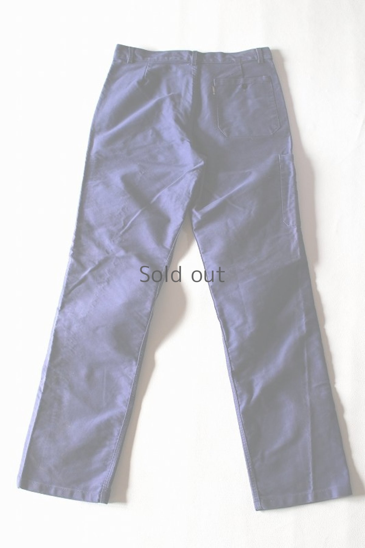 画像2: 【フランス】フレンチインクブルーモールスキンワークパンツ（LAMOVIS） (2)